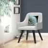 Decorative Throw Pillow_4 by Trademark Fine Art - 3 of 4