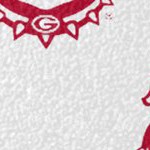 georgia bulldogs uga