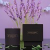 Benevolence LA Premium All Natural Soy Candles In Matte Black Glass Jar - 3 of 4