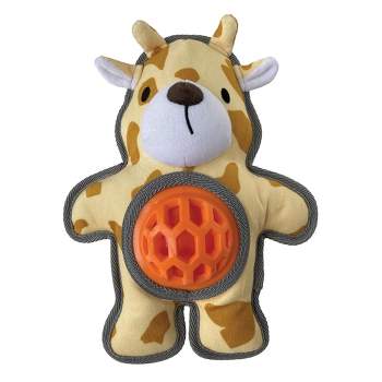 Hide n' Seek Cube Dog Puzzle Toy – Rover Store