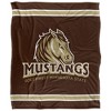 Southwest Minnesota State University Primary Logo Stripes Silky 50x60 Blanket, 1 Sided - 2 of 4