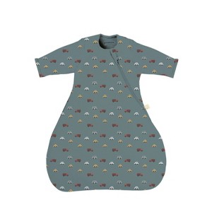 Baby Long Sleeve Transitional Swaddle Sleep Sack, Easy Diaper Changes, 2.5 TOG - 1 of 1