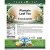 TerraVita Plantain Leaf Tea (Loose) (8 oz, ZIN: 427605) - 2 of 4