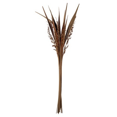Vickerman all Natural Bahia Spears with Seeds, Dried