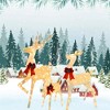 Christmas Deer Family LED Lights Decorative Holiday Indoor Outdoor Display - 4 of 4
