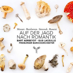 Freiburger Barockorchester - Auf Der Jagd Nach Romantik (CD) - 1 of 1
