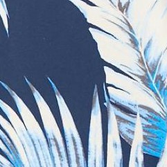 navy palm