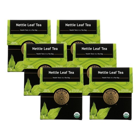 Herb of the Month – Nettle  Women's Birth & Wellness Center