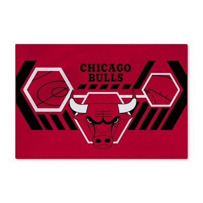 NBA Chicago Bulls Agile Washable Rug 20 x 32 Inches