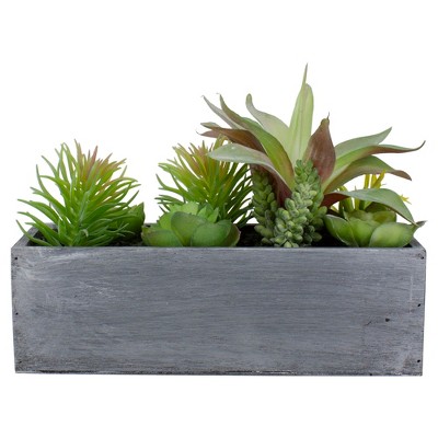 Northlight 12" Artificial Mixed Succulent Plants in a Rectangular Planter