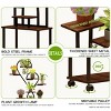 INFURNIC Planter Stands and Holders Heart Shape Indoor Plant Stand with Grow Light and Storage Rack for Home Patio, Brown, 28.3"*10.2"*62" - 4 of 4