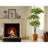 5FT Faux Black Olive Tree, Fake Olive Tree Artificial Tree with Lights - 2 of 4