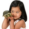 Folkmanis Puppets Mini Turtle Finger Puppet 2732 - 3 of 3