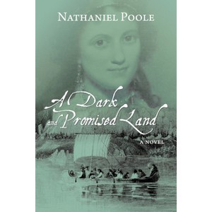 A Dark and Promised Land - by  Nathaniel Poole (Paperback) - 1 of 1