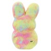 Peeps 17" Easter Rabbit Plush Tie Dye - 3 of 3