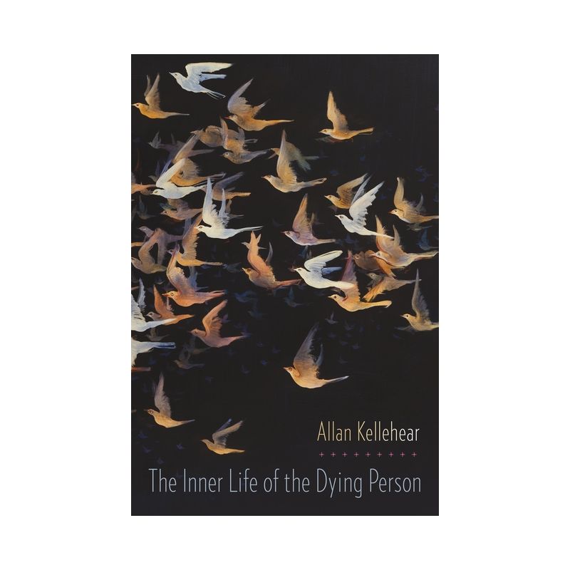 Inner Life of the Dying Person - (End-Of-Life Care: A) by  Allan Kellehear (Paperback), 1 of 2