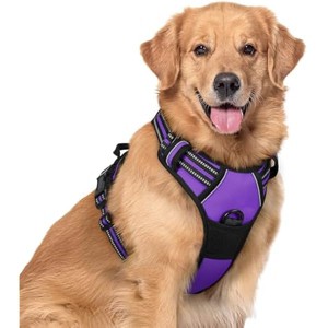 rabbitgoo Dog Harness No Pull with 2 Leash Clips, Control Handle for Large Dogs, Purple, XL - 1 of 1