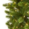 8ft. Slim Spruce Artificial Christmas Tree with 600 Warm White Lights, Instant Connect & 1294 Branches – Festive X-Mas Tree - 3 of 4