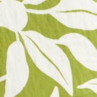 Green/White Leaf