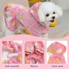 Warm Autumn Winter Dog Skirt Soft Velvet Puppy Clothes Reflective Breathable - 3 of 4