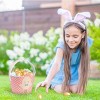 FAO Schwarz Easter Basket 2 - 2 of 4