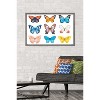Trends International Watercolor Butterflies Framed Wall Poster Prints - 2 of 4