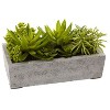 Succulent Garden Decor - Antique Style Planter with Live Plants - Home Office Shelf Decor - 3 of 4