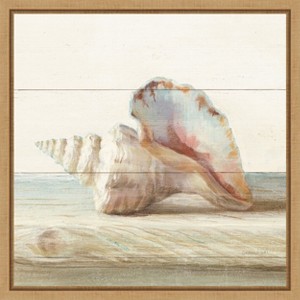 Amanti Art Driftwood Shell IV by Danhui Nai Canvas Wall Art Print Framed 16 x 16-in. - 1 of 4