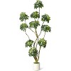 Artificial Umbrella Tree, Tall Faux Schefflera Floor Plant in White Planter, Multi-Trunk Fake Tree for Indoor Home, Office & Porch Decor - 2 of 4