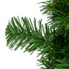Northlight 12" Deluxe Windsor Pine Artificial Christmas Wreath - Unlit - image 2 of 4