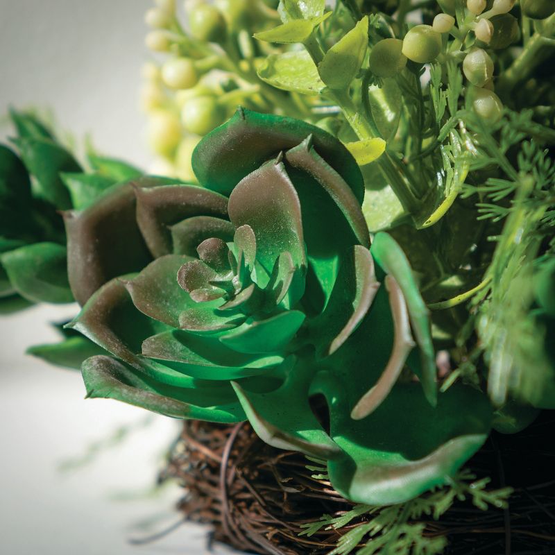 Sullivans Succulent 1/2 Orb Decorative Filler 4.5"H Green, 2 of 4