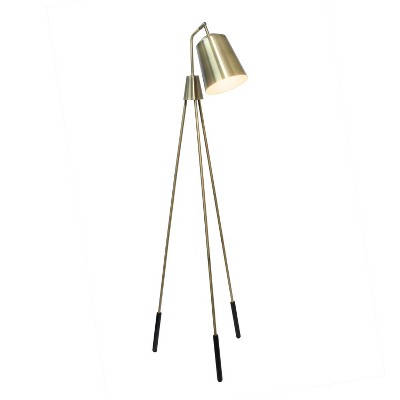 Adjustable Black Tripod Floor Lamp with Spotlight Shade