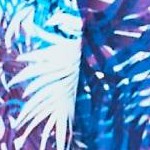multi color leaves