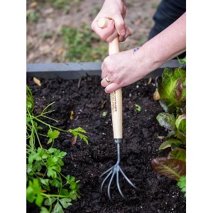 Gardener’s Lifetime 5-Tine T-Grip Raised Bed Cultivator - 1 of 3