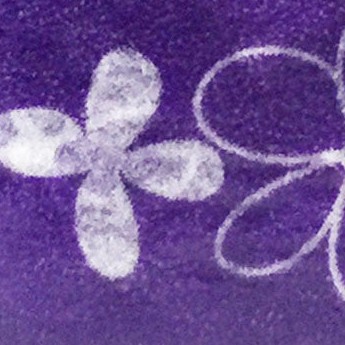purple pansies