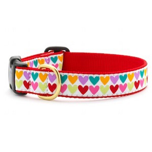 Up Country Pop Hearts Dog Collar - Small  (9 to 15 Inches) 1 Inch Wide Width - 1 of 3
