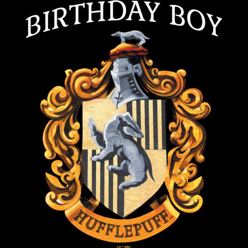 Men's Harry Potter Hufflepuff Birthday Boy T-Shirt, 2 of 6