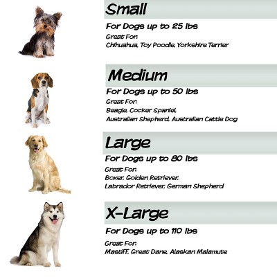 X-Large Green Outdoor Elevated Pet Bed with Mesh Panel