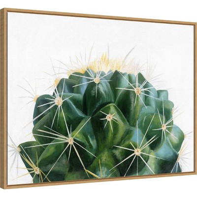 30" x 23" Green Cacti Canvas Print with Wooden Frame