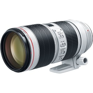 Canon EF 70-200mm f/2.8L IS III USM Lens for Canon Digital SLR