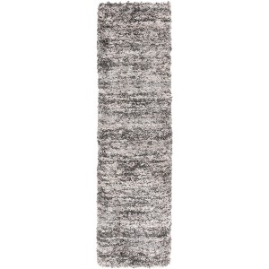 Iceland Shag ISG519 Power Loomed Rugs - Safavieh - 1 of 4
