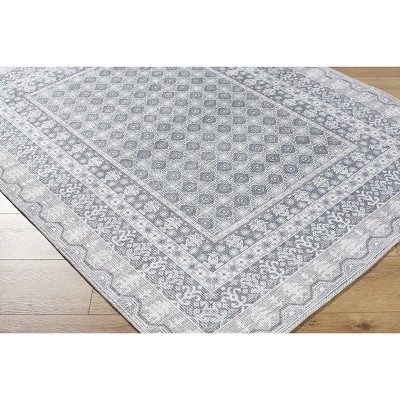 Hauteloom Catori Living Room, Bedroom Machine Washable Area Rug - Traditional, Transitional
