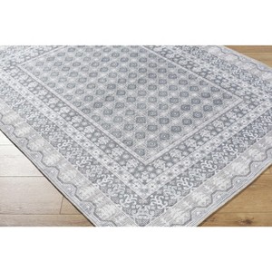 Hauteloom Catori Living Room, Bedroom Machine Washable Area Rug - Traditional, Transitional - 1 of 4
