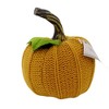 Ganz 4.0 Inch Mini Pumpkin Stem Leaf Autumn Knit Pumpkin Figurines - 2 of 3