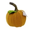 Ganz 4.0 Inch Mini Pumpkin Stem Leaf Autumn Knit Pumpkin Figurines - image 3 of 3