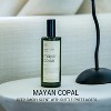Craft & Kin Room Spray With Green Spray Nozzle Bottle - 4 of 4