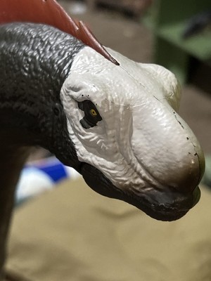 Guest review image 1 of 1, zoom in