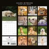 2026 Square Wall Calendar, Golden Retrievers, 16-Month Paw Prints Theme with 180 Reminder Stickers (12x12 In) - 4 of 4