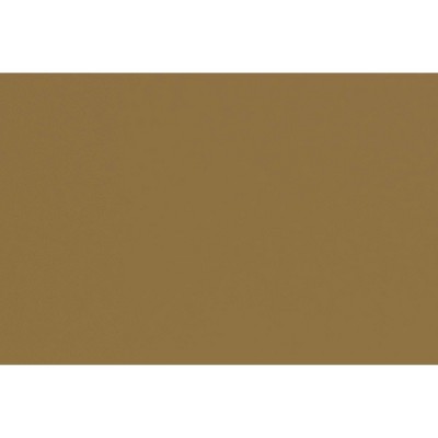 Elegant Gold Queen Metal Canopy Bed with Sophisticated Headboard