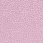 Blush Pink